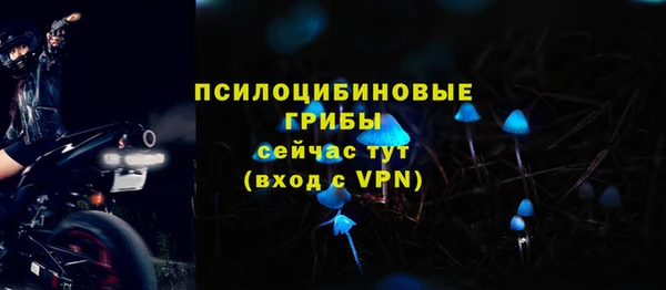 ECSTASY Инта