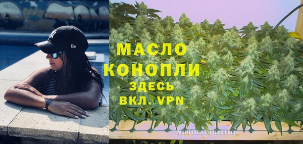 соль ск Инсар