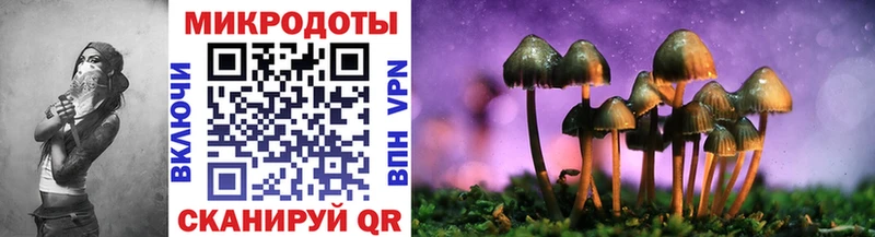 наркотики  Полесск  Псилоцибиновые грибы Magic Shrooms 